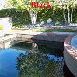 Black
Reyes Pool Plastering INC. 